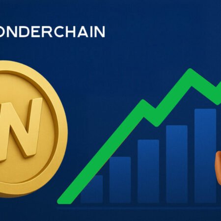 WonderChain: A High-Potential Project Drawing the Attention of Top-Tier VCs