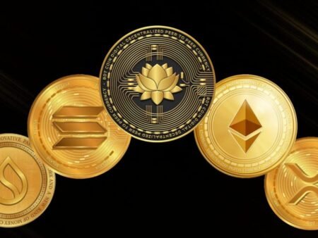 Top 5 Altcoins to Watch This Bull Market – BDTCOIN Makes the List