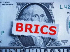 Diplomat Confirms BRICS Bloc Lacks Hostility Toward US Dollar