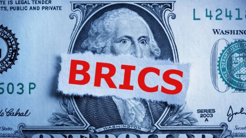 Diplomat Confirms BRICS Bloc Lacks Hostility Toward US Dollar