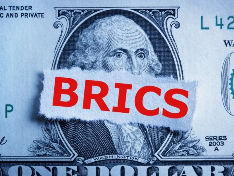 Diplomat Confirms BRICS Bloc Lacks Hostility Toward US Dollar