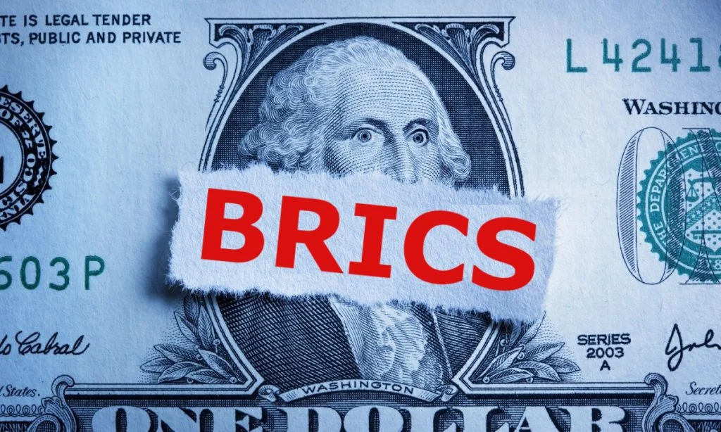 Diplomat Confirms BRICS Bloc Lacks Hostility Toward US Dollar