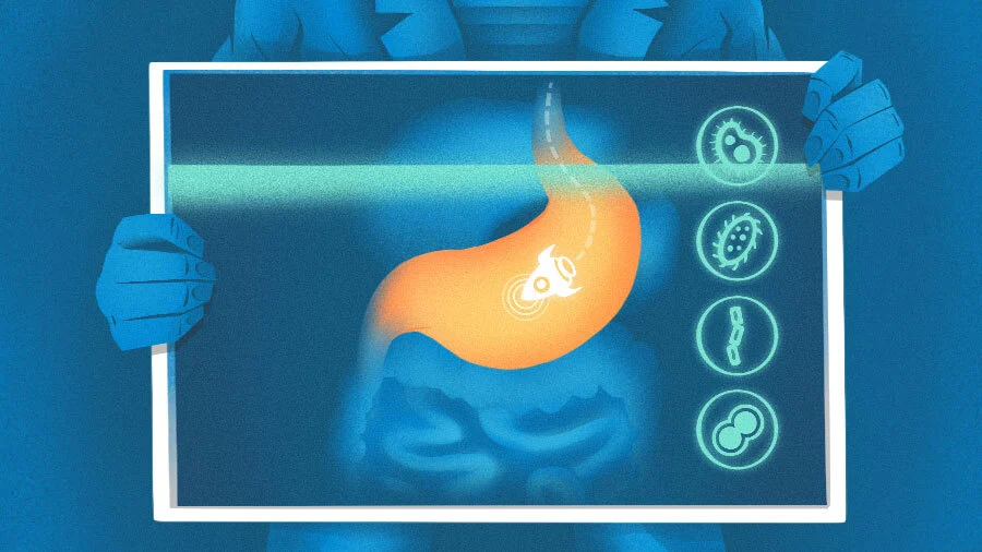 Tiny Health Secures $33M to Study Microbiome and Future Wellness