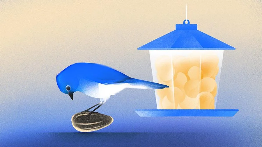 Massive Series A Funding Masks The Real Crunch For Seed Startups